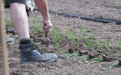 CropLife UK and abc press release 01 October 2024