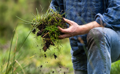 UK takes the lead in agri-tech with new Precision Breeding legislation coming into force